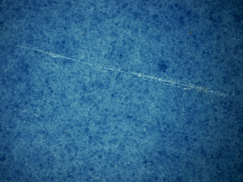 爪にかかる擦り傷